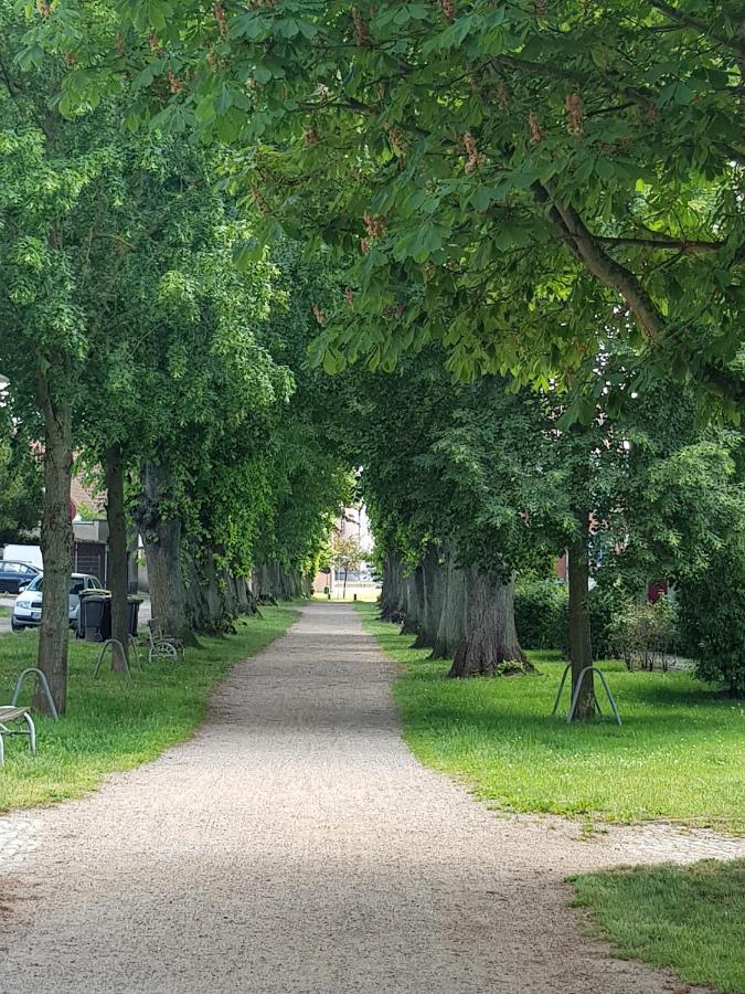 Ferienwohnung In Ostseenaehe Grevesmuehlen Eksteriør bilde